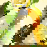 fresh lemon hand and body wash