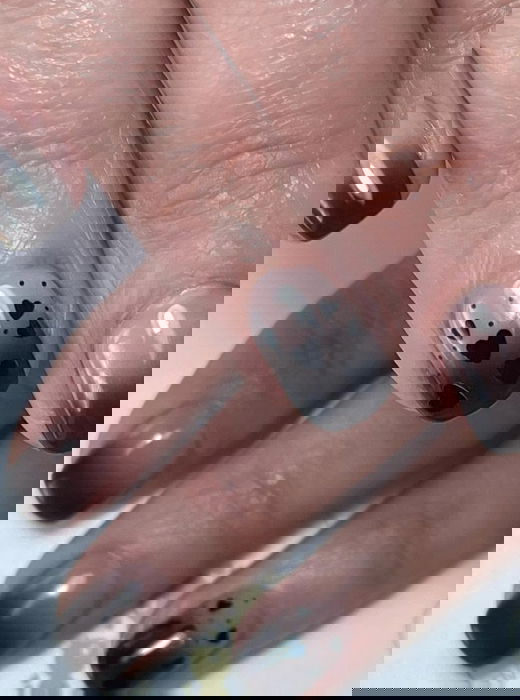 black ombre french tips