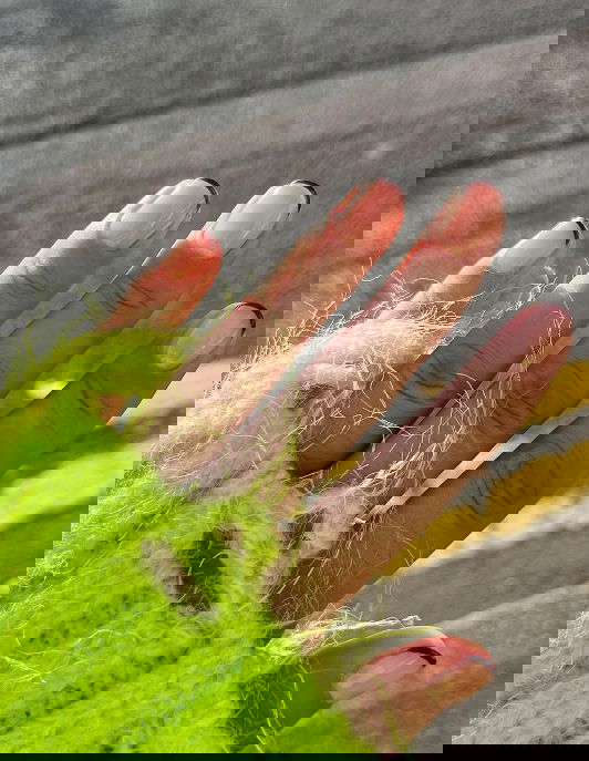 micro black french tip nails