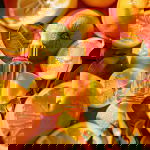 A high-end product photo of a luxury skincare serum enriched with vitamin C