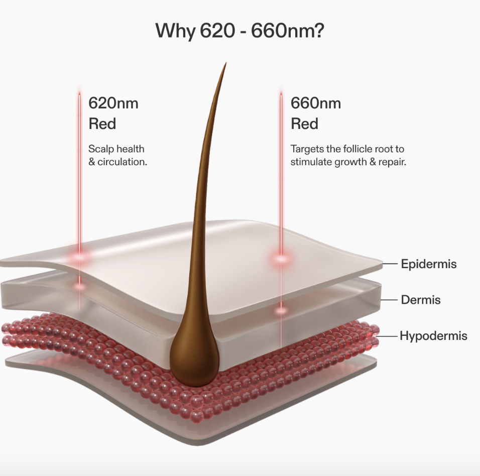 Diagram showing why Red LED wavelengths can help hair growth